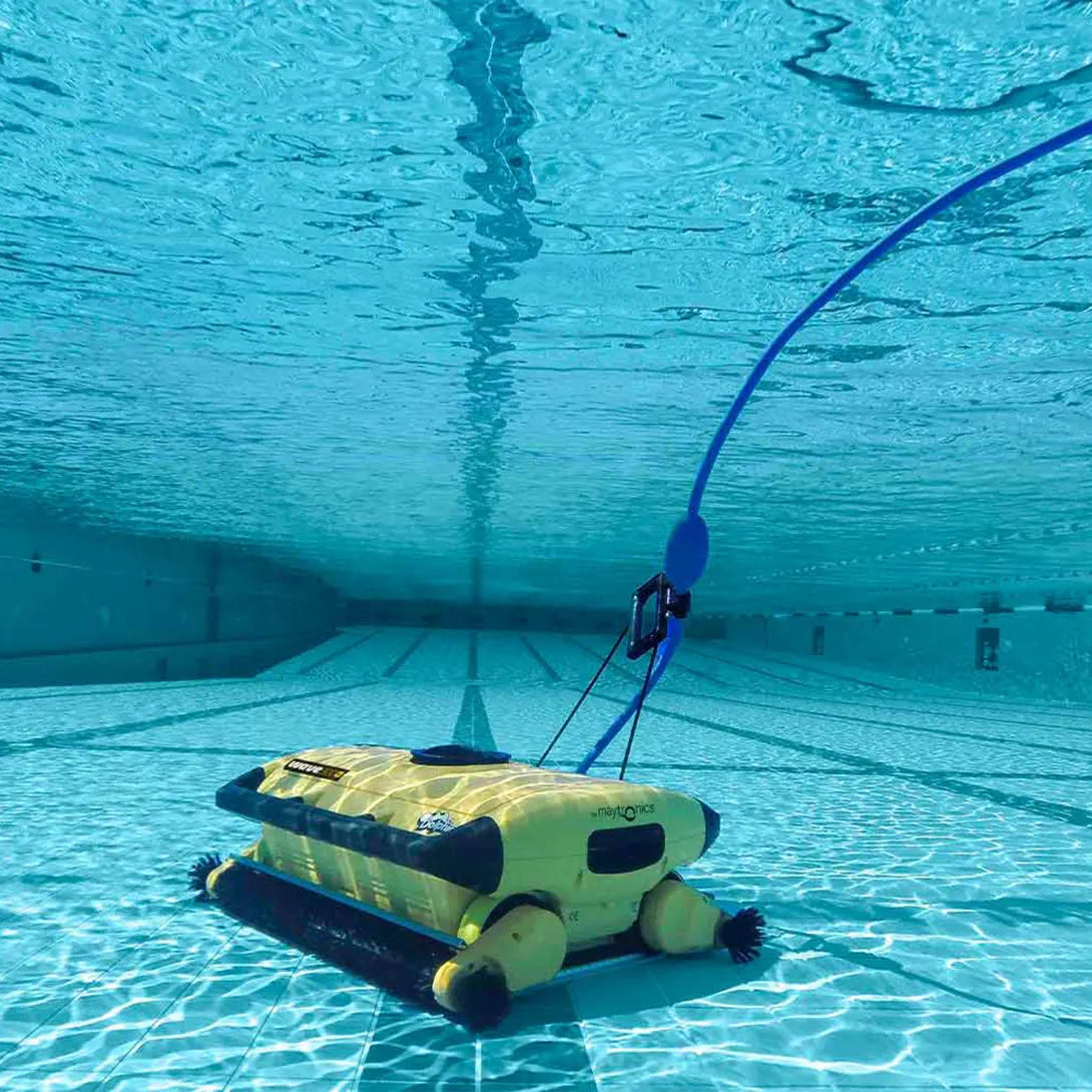 Dolphin Wave 300 XL
